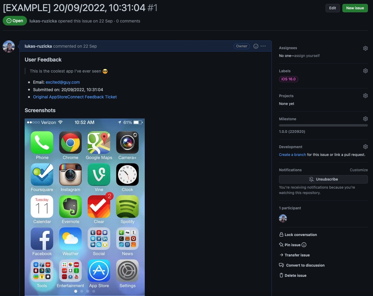 Example Issue 1